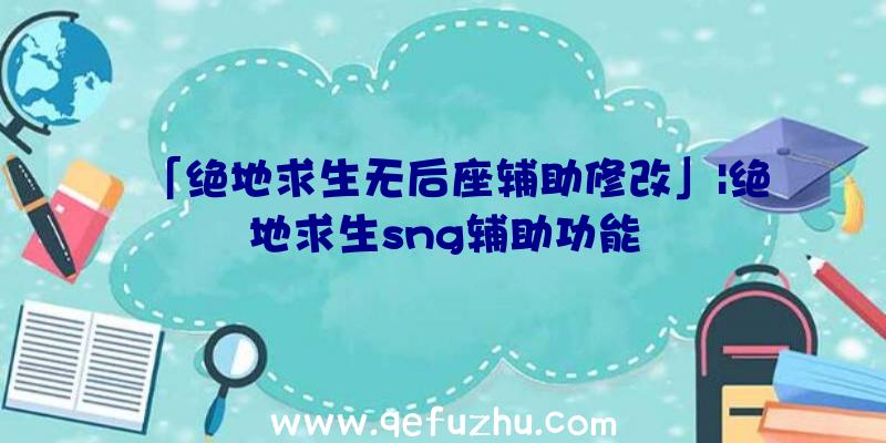 「绝地求生无后座辅助修改」|绝地求生sng辅助功能